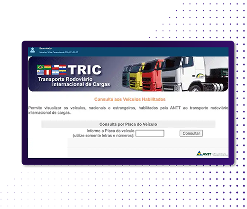 Consulta antt-TRIC